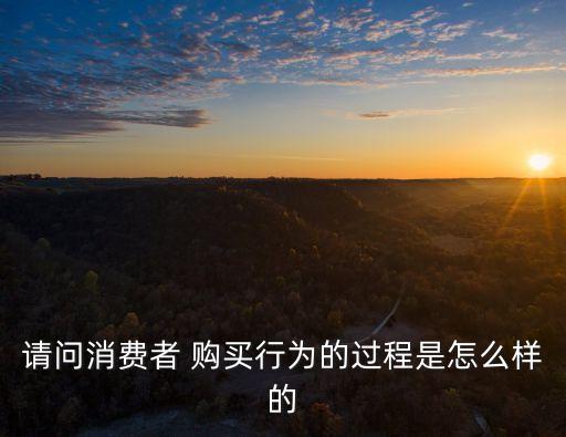 請問消費(fèi)者 購買行為的過程是怎么樣的
