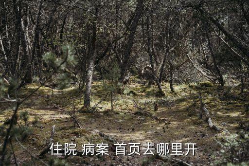 住院 病案 首頁(yè)去哪里開(kāi)