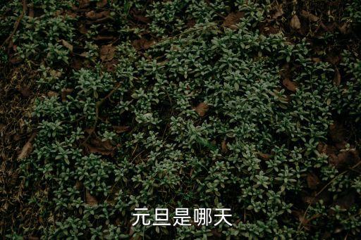 元旦是哪天,2020年元旦是哪天