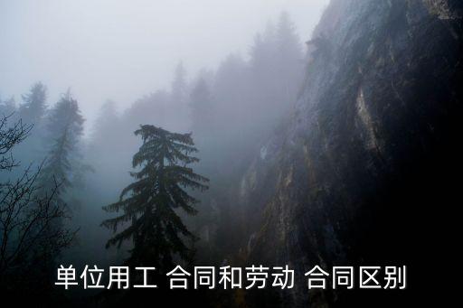 勞務(wù)合同適應(yīng)什么法律條文