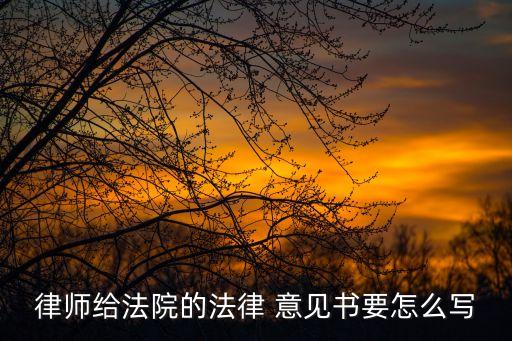 律師給法院的法律 意見書要怎么寫