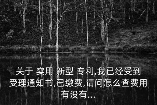關(guān)于 實(shí)用 新型 專利,我已經(jīng)受到受理通知書,已繳費(fèi),請(qǐng)問怎么查費(fèi)用有沒有...