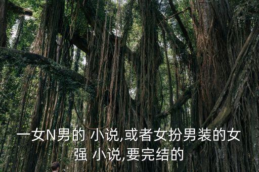 一女N男的 小說(shuō),或者女扮男裝的女強(qiáng) 小說(shuō),要完結(jié)的