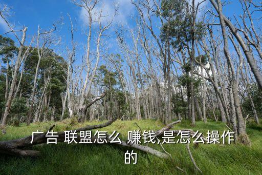  廣告 聯(lián)盟怎么 賺錢(qián),是怎么操作的