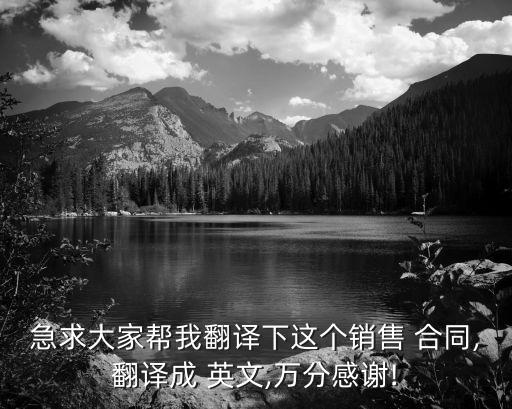 急求大家?guī)臀曳g下這個(gè)銷售 合同,翻譯成 英文,萬(wàn)分感謝!