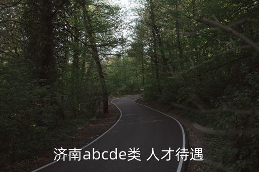 濟南abcde類 人才待遇