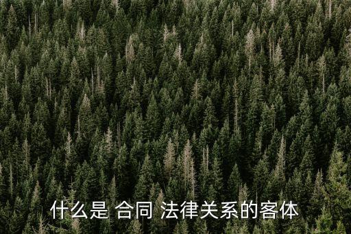 什么是 合同 法律關(guān)系的客體