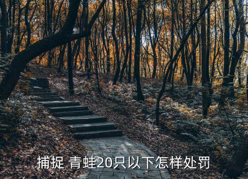 捕捉 青蛙20只以下怎樣處罰