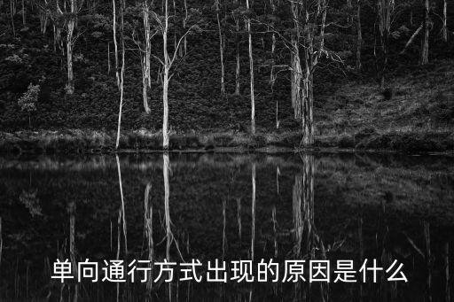 單向行駛