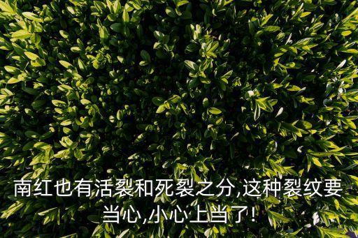 南紅也有活裂和死裂之分,這種裂紋要當(dāng)心,小心上當(dāng)了!