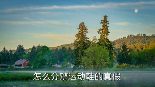 假鞋