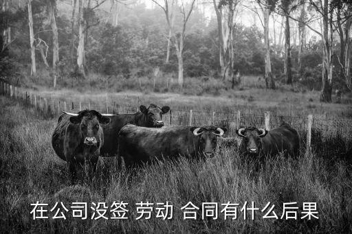 在公司沒(méi)簽 勞動(dòng) 合同有什么后果