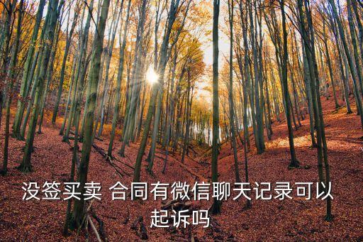 沒有銷售合同能起訴嗎,銷售合同起訴地點(diǎn)