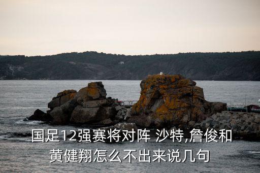 沙特國足1 1