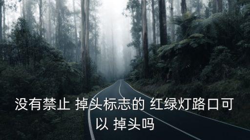 沒有禁止 掉頭標(biāo)志的 紅綠燈路口可以 掉頭嗎