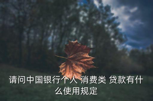個人消費貸款