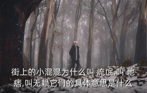 街上的小混混為什么叫 流氓,叫 地痞,叫無賴它們的具體意思是什么