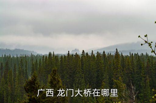 廣西 龍門大橋在哪里