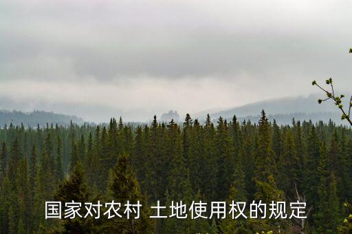 國家對農(nóng)村 土地使用權的規(guī)定