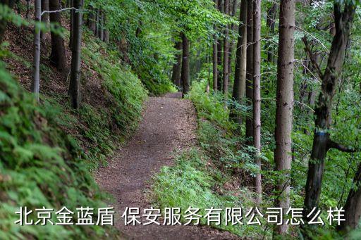 北京金藍盾 保安服務有限公司怎么樣