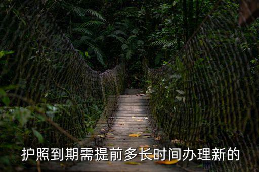  護照到期需提前多長時間辦理新的