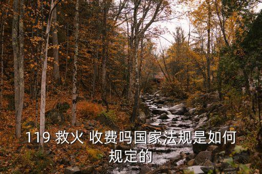 119 救火 收費(fèi)嗎國(guó)家法規(guī)是如何規(guī)定的