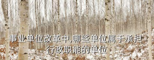 事業(yè)單位改革中,哪些單位屬于承擔(dān) 行政職能的單位