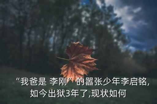 “我爸是 李剛”的囂張少年李啟銘,如今出獄3年了,現(xiàn)狀如何