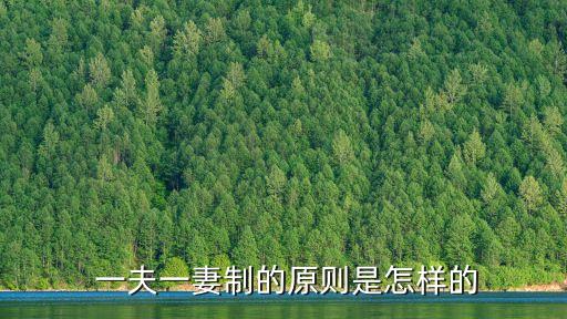  一夫一妻制的原則是怎樣的