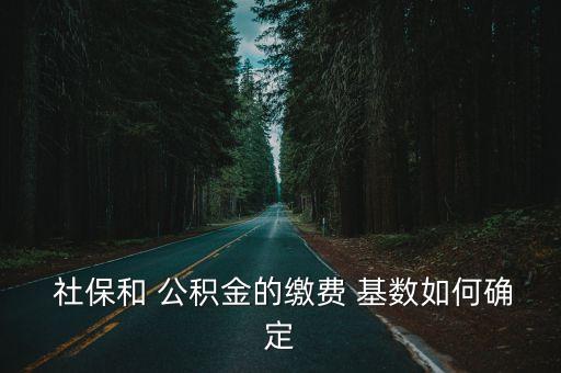  社保和 公積金的繳費(fèi) 基數(shù)如何確定