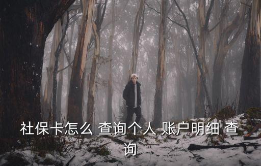 查詢個(gè)人賬戶,深圳社保怎么查詢個(gè)人賬戶