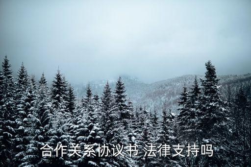  合作關系協(xié)議書 法律支持嗎