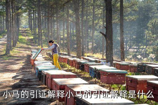 小馬的引證解釋小馬的引證解釋是什么