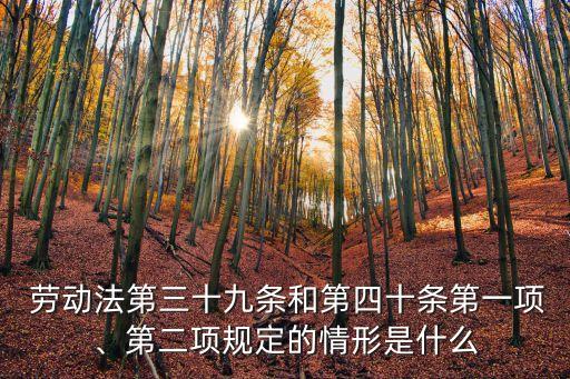  勞動(dòng)法第三十九條和第四十條第一項(xiàng)、第二項(xiàng)規(guī)定的情形是什么