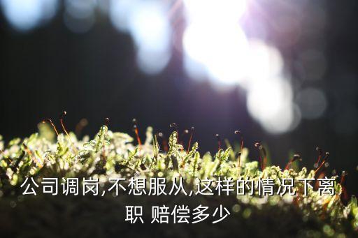 公司調(diào)崗,不想服從,這樣的情況下離職 賠償多少