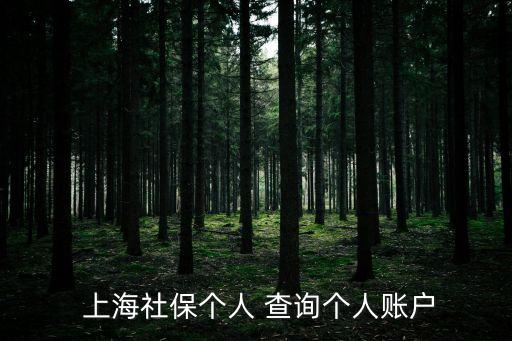  上海社保個(gè)人 查詢個(gè)人賬戶
