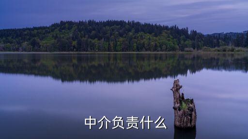  中介負(fù)責(zé)什么