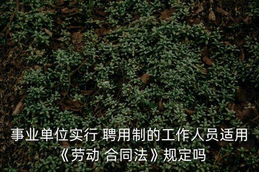 聘用合同是根據(jù)什么法律