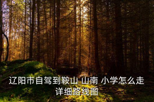 山南小學(xué),馬鞍山師范高等?？茖W(xué)校附屬山南小學(xué)