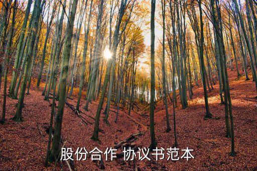 合伙人股權(quán)分配協(xié)議書(shū)表格模板,5個(gè)合伙人股權(quán)分配協(xié)議書(shū)怎么寫(xiě)