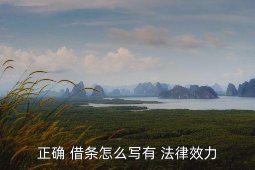 正確 借條怎么寫有 法律效力