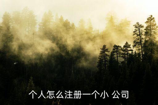 個(gè)人如何注冊(cè)公司