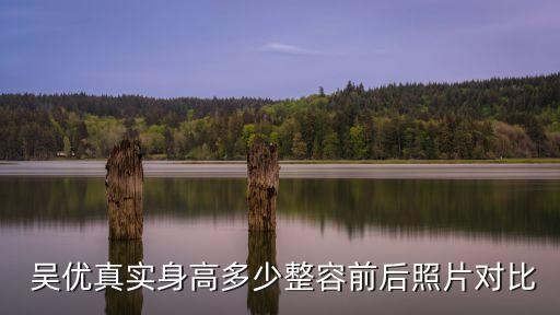 吳優(yōu)