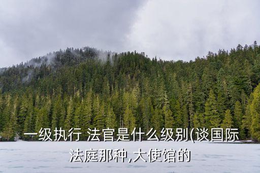  一級執(zhí)行 法官是什么級別(談國際法庭那種,大使館的
