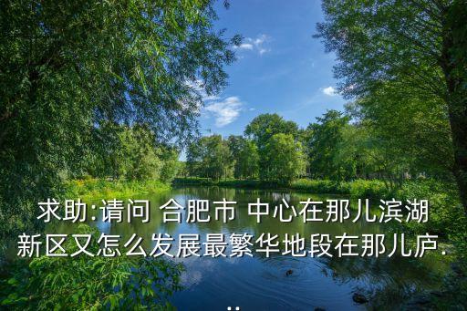 求助:請(qǐng)問 合肥市 中心在那兒濱湖新區(qū)又怎么發(fā)展最繁華地段在那兒廬...