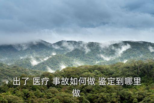 出了 醫(yī)療 事故如何做 鑒定到哪里做