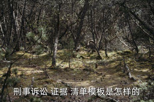 證據(jù)清單