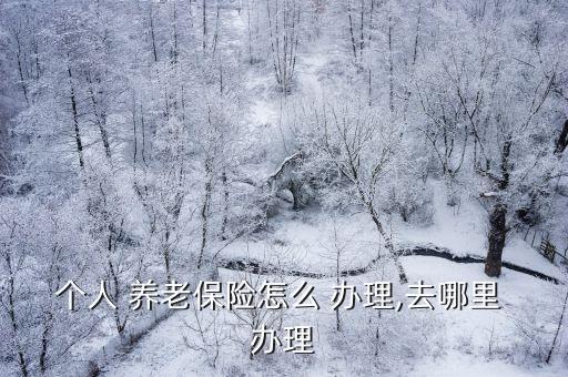 養(yǎng)老保險去哪辦理,現(xiàn)在養(yǎng)老保險可以補交嗎
