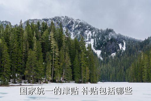 國家統(tǒng)一的津貼 補貼包括哪些