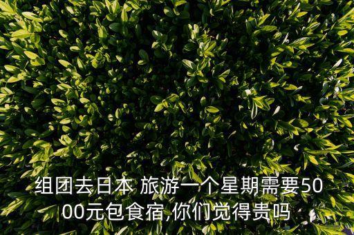 組團去旅游,怎么組團去旅游